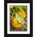 Horton Janet 13x18 Black Ornate Wood Framed with Double Matting Museum Art Print Titled - Issaquah-Washington State-USA Kakai pumpkins growing in a garden