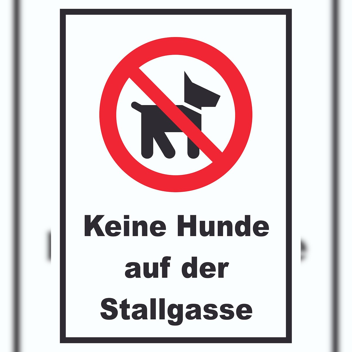 Keine Hunde auf der Stallgasse Schild A0 Rückseite selbstklebend Image