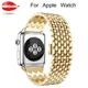 Bracelets Dragon en acier pour apple watch série 1 2 bracelet en acier inoxydable 42mm avec