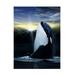 Chris Dobrowolski Orca Sunset Canvas Art