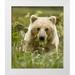 Kaveney Wendy 20x23 White Modern Wood Framed Museum Art Print Titled - AK Lake Clark NP Grizzly bear with fern leaves