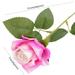 Hadanceo Simulation Roses Delicate Single Branch Simulation Roses Long Lasting Modern for Living Room