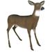 Outdoors 5965MD Boss Babe - Masters Series Deer Decoy