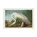 John James Audubon White Heron Canvas Art