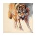 Julie T Chapman Wolf Study IV Canvas Art