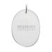 Belhaven Blazers Team Logo 2.75'' x 3.75'' Glass Oval Ornament