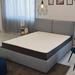 King Firm 8" Hybrid Mattress - The Twillery Co.® Miley Mattress, Polyester | 8 D in Wayfair BB236337011C4D9F9D3DA3C8A7663324