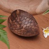 Rosecliff Heights Aykan Handmade Fabulous Fish Coconut Shell Soap Dish Manufactured Wood in Brown | 1.4 H x 5 W x 3.9 D in | Wayfair