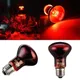 Veilleuse LED rouge pour reptile lampe chauffante infrarouge UVA ampoule en céramique lézard de