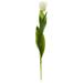 22" Tulip Artificial Flower (Set of 8) - 22