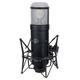 Universal Audio Sphere DLX Modeling Microphone