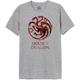 House Of the Dragon Herren Mehoftdts006 T-Shirt, Grau meliert, XL