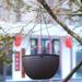 Cherryhome Hanging Flower Planter Self-Watering Round Hanging Basket Plant Herb Orchid Flower Pot Resin Plant Hanger for Home Office Garden Balcony Wall Pergola Fences Indoor Outdoor Decor