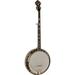 Recording King - The Elite 5-String Banjo