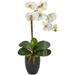 Nearly Natural Phalaenopsis Orchid in Black Vase