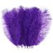 Relax love Ostrich Feather Plume 10Pcs Multi-Color Ostrich Feather Plume Decorative Pink Gold Purple Feather Craft Fashion DIY Large Feather Party Centerpieces for Home Wedding Purple