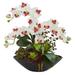 Nearly Natural Phalaenopsis Orchid and Mixed Succulent Garden Artificial Arrangement in Black Vase