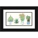 Wang Melissa 32x18 Black Ornate Wood Framed with Double Matting Museum Art Print Titled - Four Succulents I