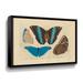 August Grove® Vintage Butterflies 1 by Stellar Design Studio - Graphic Art on Canvas in Black/Blue | 18 H x 24 W x 2 D in | Wayfair