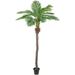 Northlight 7.25 Artificial Potted Phoenix Palm Tree Unlit