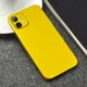 Autocollant arrière de téléphone coloré Ice 256 Skins film rond pour iPhone 12 Pro Max 12 Mini 11