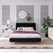 Novogratz Her Majesty Velvet Queen Platform Bed Upholstered/Velvet in Black | 43.5 H x 64 W x 85.5 D in | Wayfair 4508039N