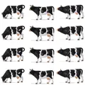 Modèle de vache peinte en PVC noir et blanc 12 pièces échelle 1:43 O animaux de ferme