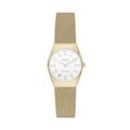 Skagen Watch for Women Grenen Lille Solar Powered, Solar-Powered Three Hand Movement, 26 mm Gold Stainless Steel Case with a Stainless Steel Mesh Strap, SKW3077
