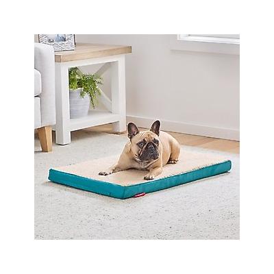 Brindle 2-in Orthopedic with Machine Washable Cover Dog & Cat Bed, Teal, Small