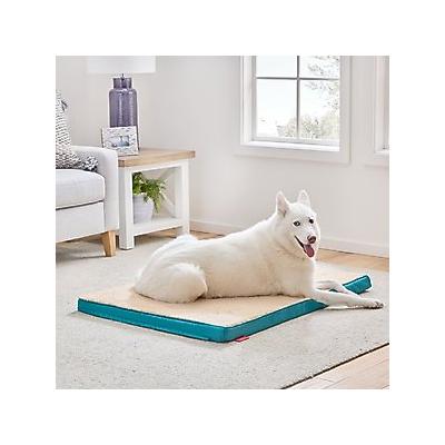 Brindle 2-in Orthopedic with Machine Washable Cover Dog & Cat Bed, Teal, Large