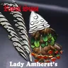 Plumes de faisan Lady Amherst naturelles assorties 1 ensemble de plumes à queue centrale matériaux