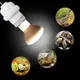 Tortoise Heat Lamp Socket Lamp Holder Adapter Light Fitting Kit Ceramic Screw Socket with Black