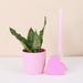 Thorsen's Greenhouse Live Zeylancia Snake Plant in Classic Pot | 6 H x 4 D in | Wayfair 4 Snake Z-core-blush