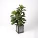 Primrue 42" Brazilian Fiddle Leaf Fig Plant In Square Metal & Wood Planter Polyester/Wood/Metal in Brown | 42 H x 16 W x 16 D in | Wayfair