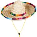 1pc Straw Braid Breathable Hat Adjustable Sun Hat with A String for Summer Outdoor Pet - Size M(Beige)