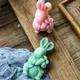 Moules en silicone lapin 3D bricolage moule à savon fait main moule en gel de pton faveurs de