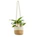 QIIBURR Planters Outdoor Plants Macrame Plant Hanger Macrame Plant Hanger Indoor Outdoor Hanging Planter Basket Cotton Rope Planters Indoor Plants Hanging Planters Outdoor