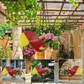 DJKDJL Flying Parrot Flower Pot Parrot Hanging Planter Pot Flying Flower Pot in Shape of Parrot Rust-Proof Metal Chain Included Indoor or Outdoor Use