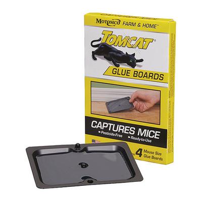 TOMCAT 32420 Glue Trap,Board Style,9-5/8" L,PK4