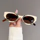 KAMMPT New in Cat Eye Women Sunglasses Fashion Snake Wrapped Round Vintage Shades Eyewear Luxury