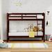 Viv + Rae™ Kintzel Solid Wood Twin Over Twin Bunk Bed Wood in Brown/Green | 80.71 H x 62.87 W x 41.74 D in | Wayfair