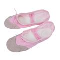 Non-slip Ballet Shoes with Soles Durable Dancing Shoes for Children Adults Pink Adult Style Size 39