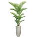 Vintage Home Panama Artificial Palm Tree in Planter Plastic/Fiberstone in Gray | 77 H x 46 W x 46 D in | Wayfair VHX151235