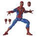Spider-Man: Marvel Legends Series Cel Shaded Action Figure with 6 Accessories (6 )