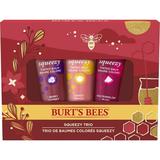 Burt s Bees Tinted Lip Balm Holiday Gift Set Berry Peach and Watermelon 3 Tubes