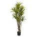 Nearly Natural 5 Dracaena Silk Tree