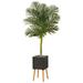 Nearly Natural 6 Golden Cane Artificial Palm Tree in Black Planter with Stand