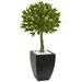 Nearly Natural Bay Leaf Topiary with Black Wash Planter UV Resistant (Indoor/Outdoor)