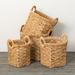 Bayou Breeze Rich Sienna Handled Seagrass Basket Set Seagrass in Brown | 16.25 H x 17.25 W x 16.75 D in | Wayfair 18CEE41473E745AFAEEF45FC25329525