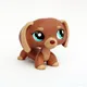LPS – figurine de dessin animé chat little shop chien mignon brun teckel avec des yeux bleus rare
